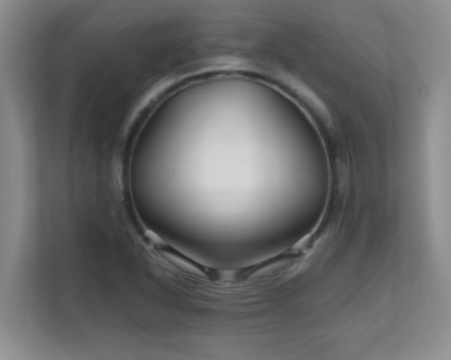 X0000111681318200907241225