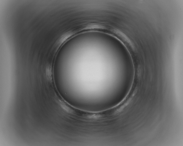 X0000111681321200907241225