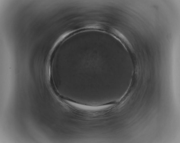 X0000111681323200907241225