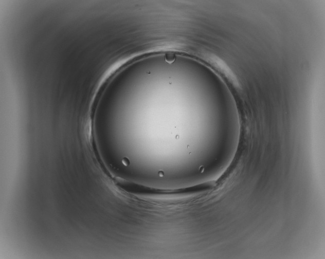 X0000111681324200907241225