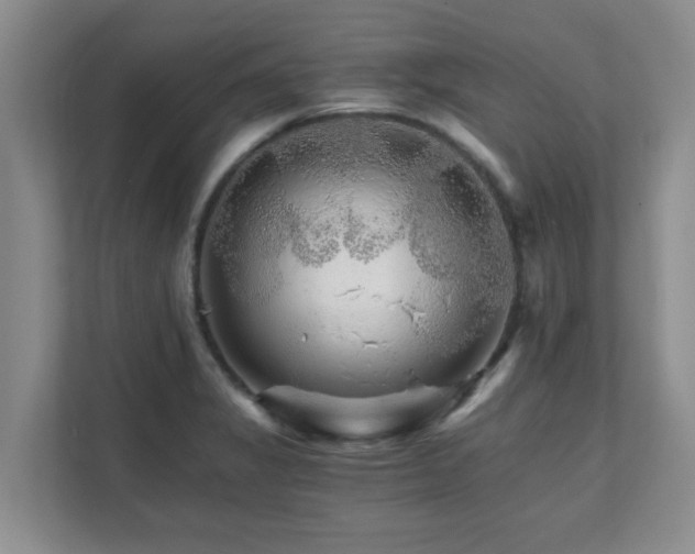 X0000111681325200907241225