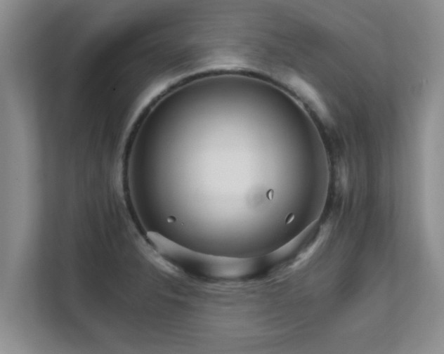 X0000111681326200907241225