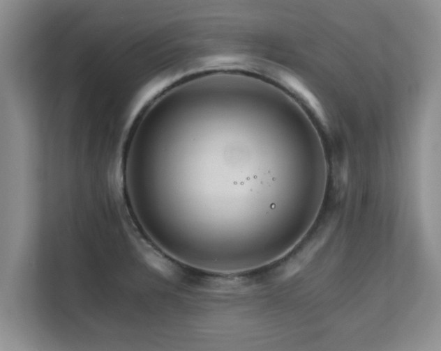 X0000111681328200907241225