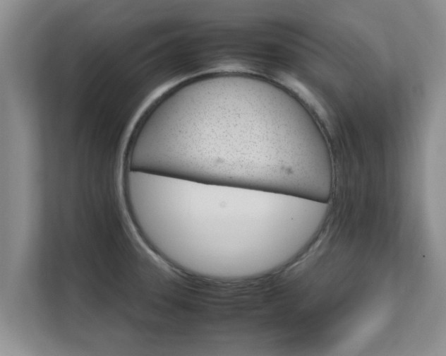 X0000111681331200907241225