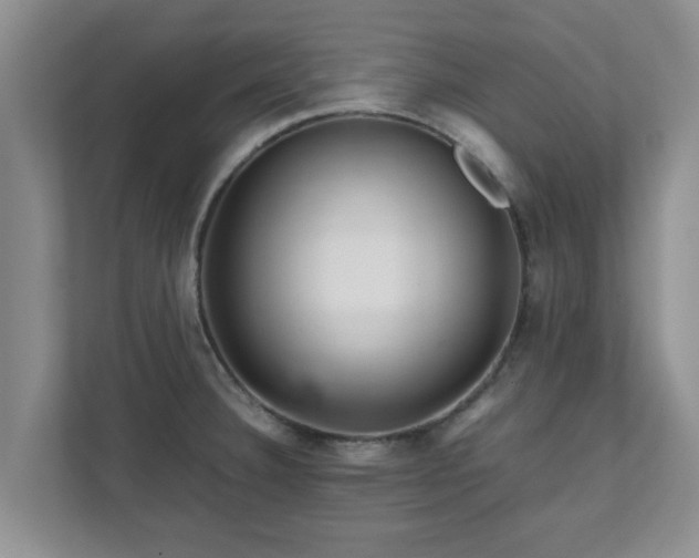 X0000111681332200907241225