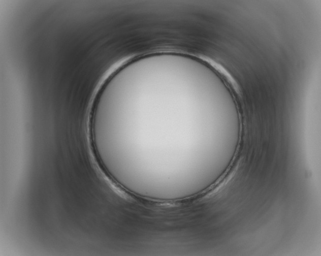 X0000111681333200907241225