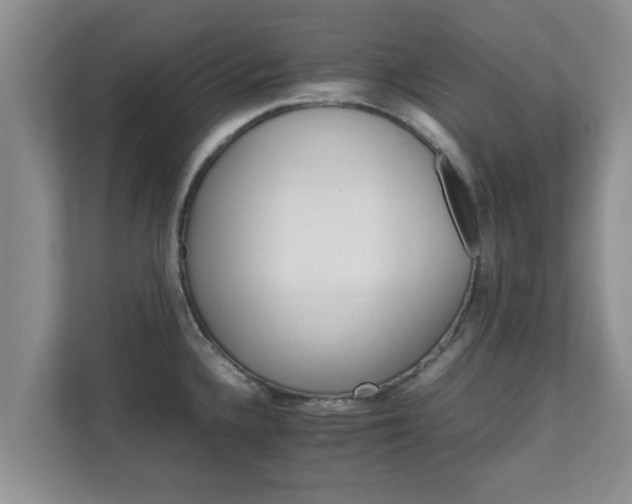 X0000111681336200907241225