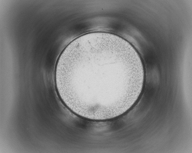 X0000111681338200907241225