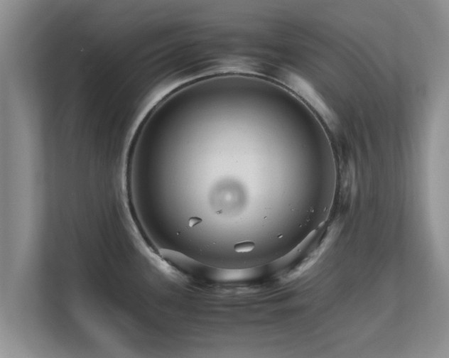 X0000111681339200907241225