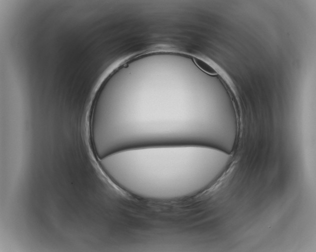 X0000111681341200907241225