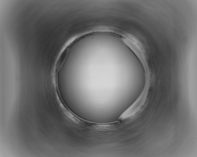 X0000111681342200907241225