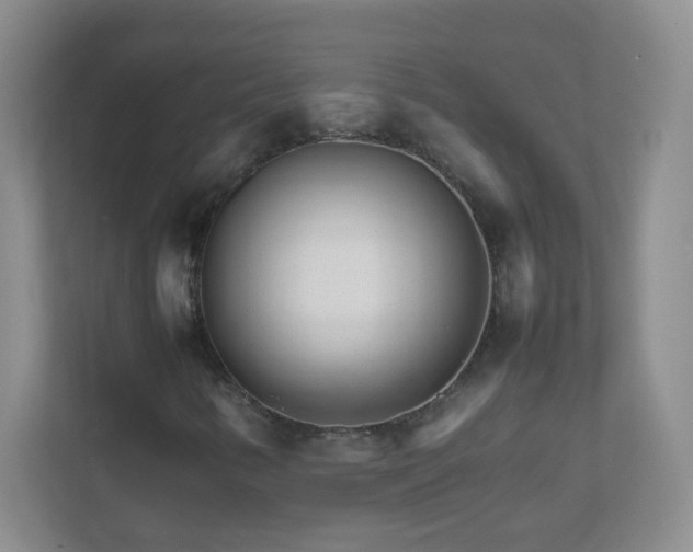 X0000111681346200907241224