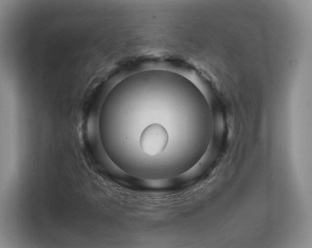 X0000111681349200907241224