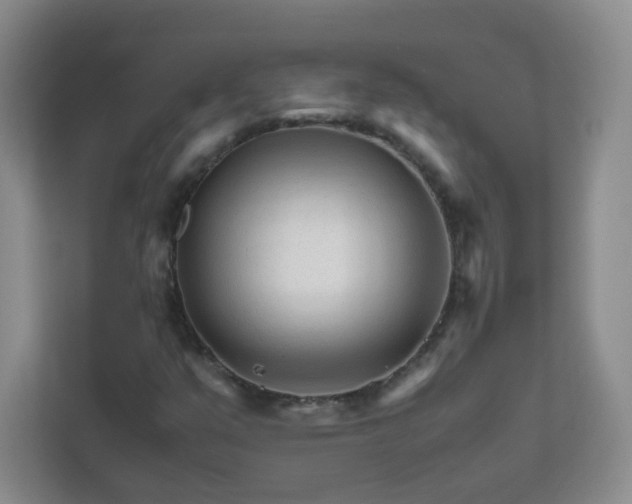 X0000111681351200907241224