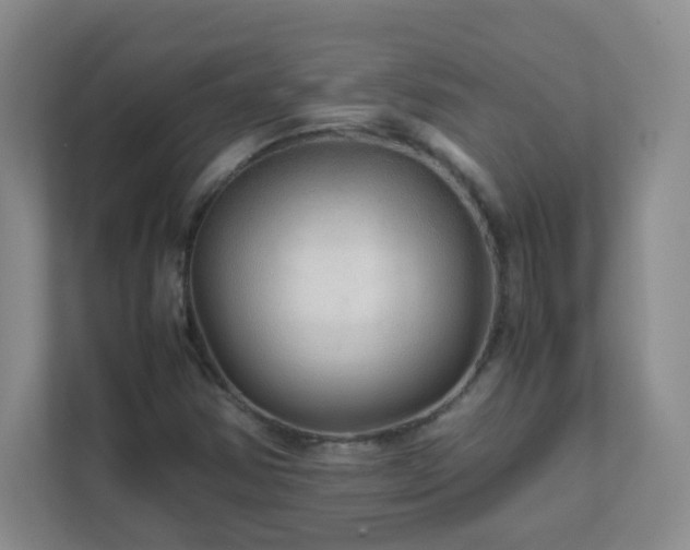 X0000111681354200907241224