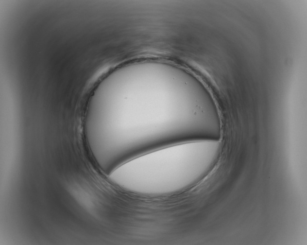 X0000111681355200907241224