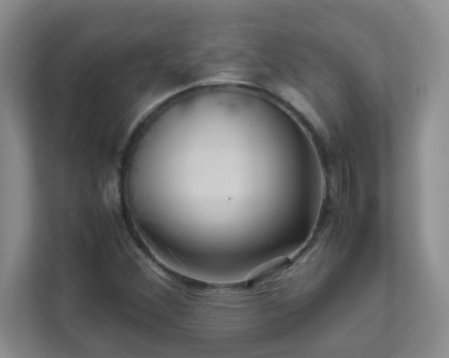 X0000111681356200907241224