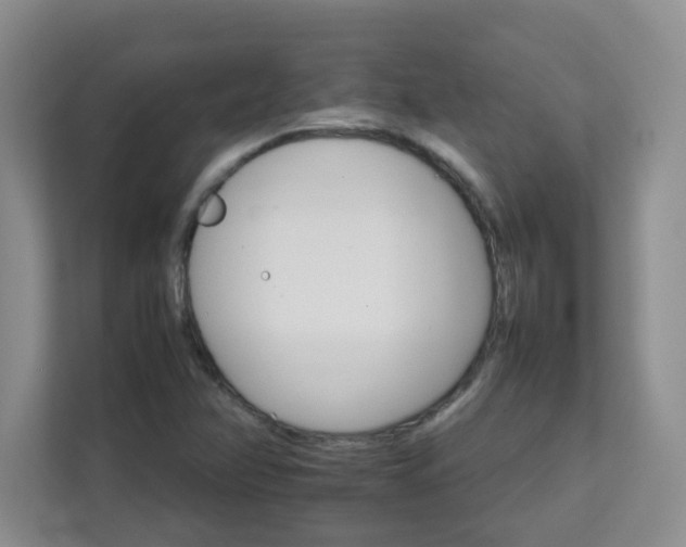 X0000111681358200907241224