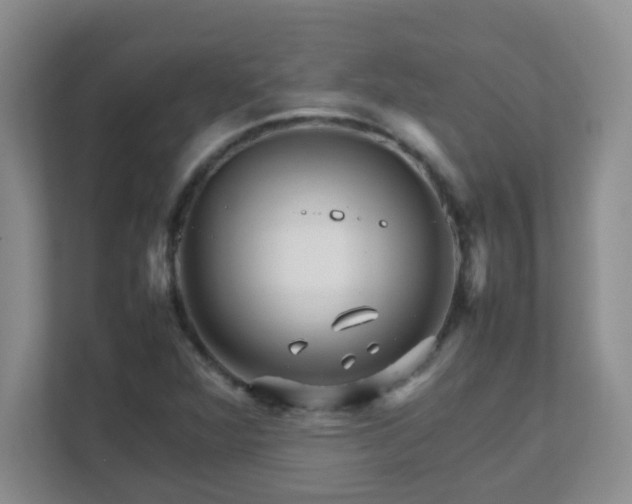 X0000111681360200907241224