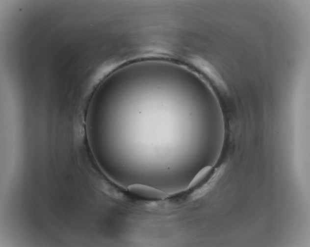 X0000111681363200907241224