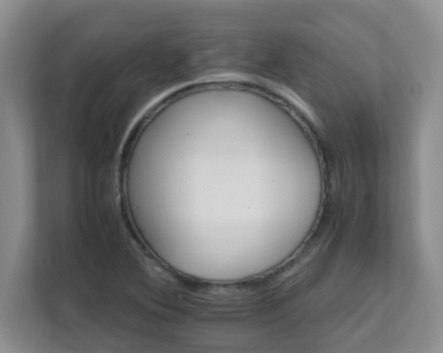 X0000111681364200907241224