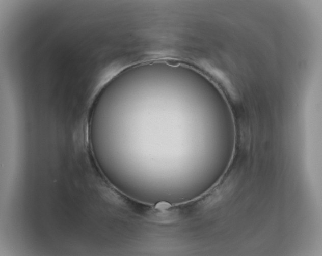 X0000111681365200907241224