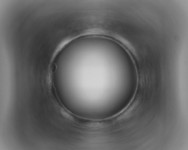 X0000111681366200907241224