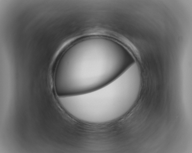 X0000111681368200907241224