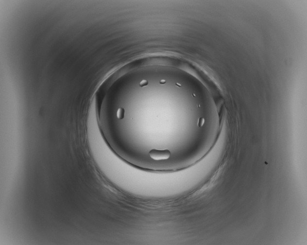 X0000111681369200907241224