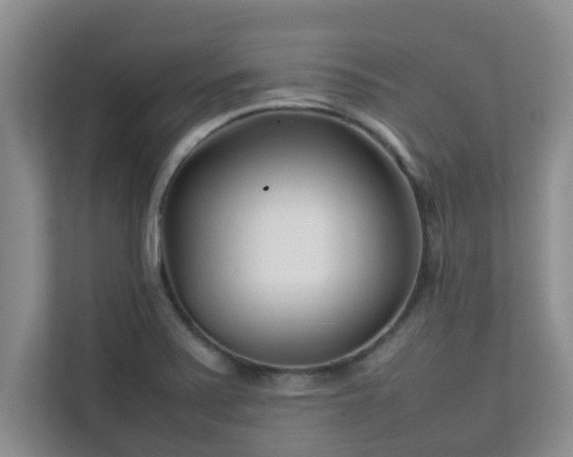 X0000111681371200907241224