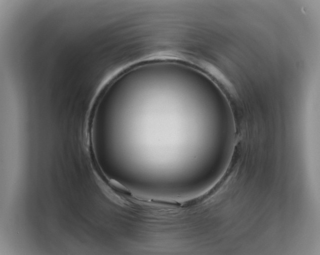 X0000111681372200907241224