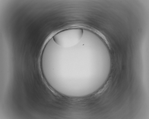 X0000111681373200907241224