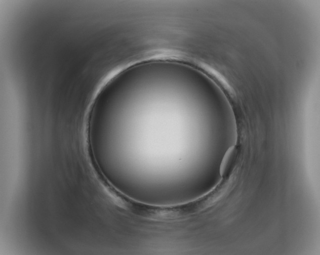 X0000111681375200907241224