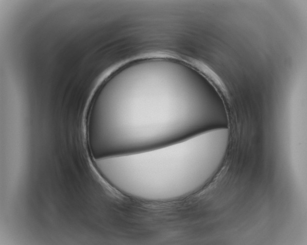 X0000111681380200907241224