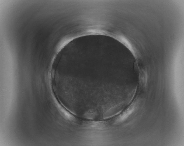 X0000111681381200907241224