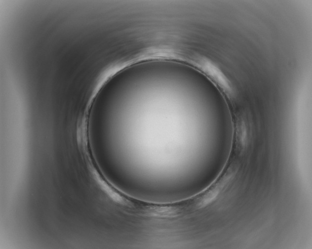 X0000111681382200907241224