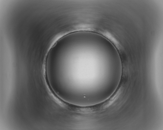 X0000111681383200907241224