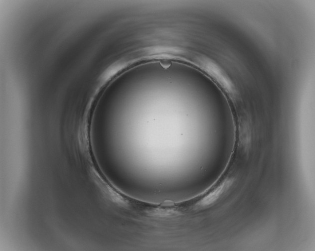 X0000111681384200907241224