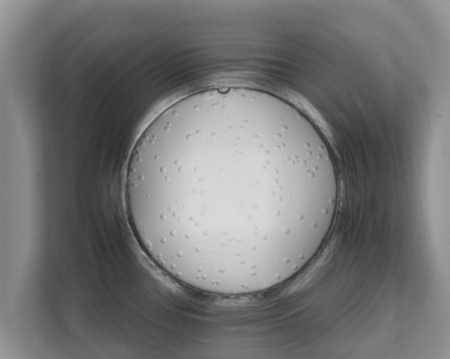 X0000111681386200907241224