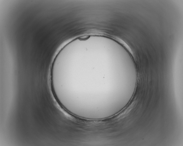 X0000111681387200907241224