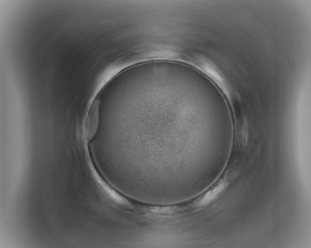 X0000111681389200907241224