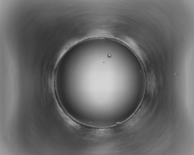 X0000111681390200907241224