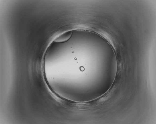 X0000111681391200907241224