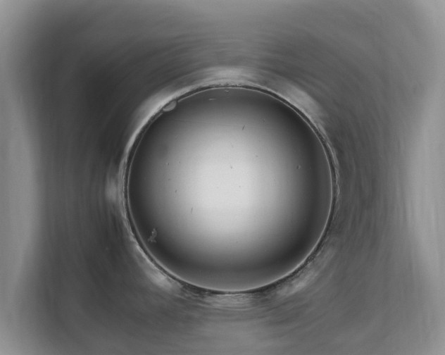 X0000111681392200907241224