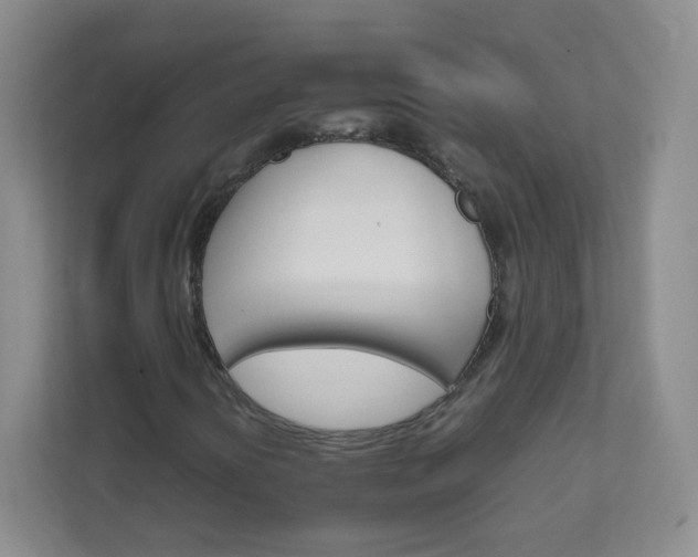 X0000111681394200907241223