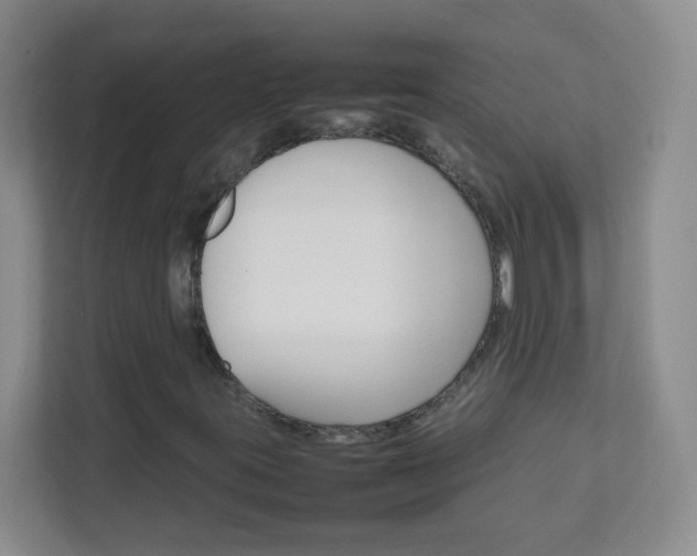 X0000111681395200907241223