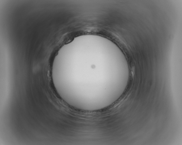 X0000111681396200907241223