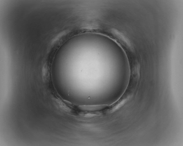 X0000111681398200907241223