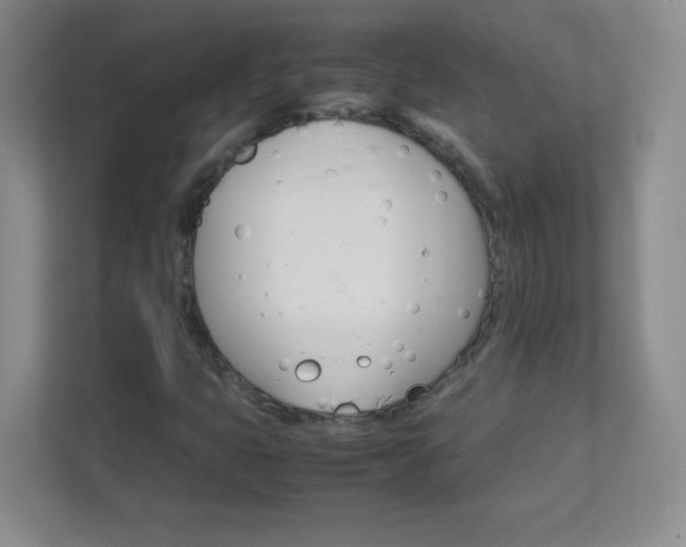 X0000111681399200907241223