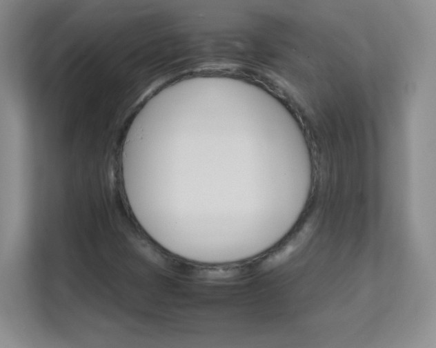 X0000111681401200907241223